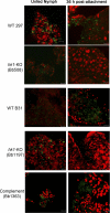 Fig. 7.