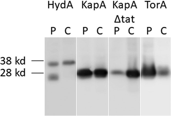 FIG 3