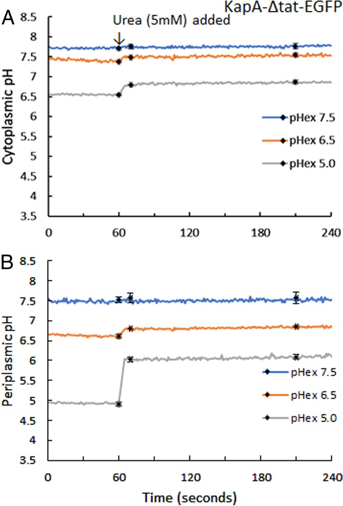 FIG 7