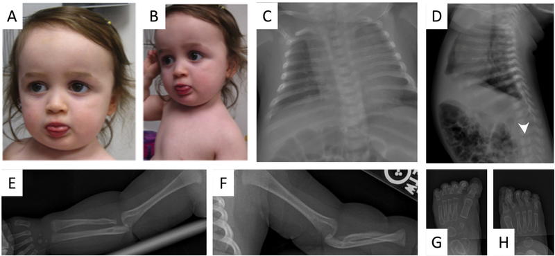 Figure 4: