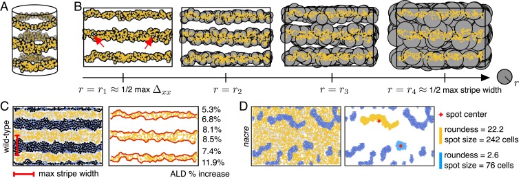 Fig. 3.