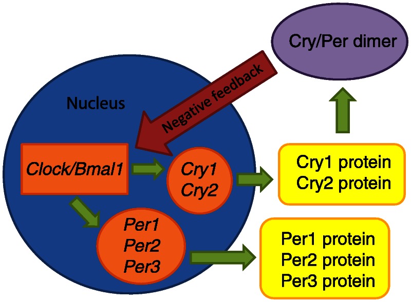 Figure 7-2