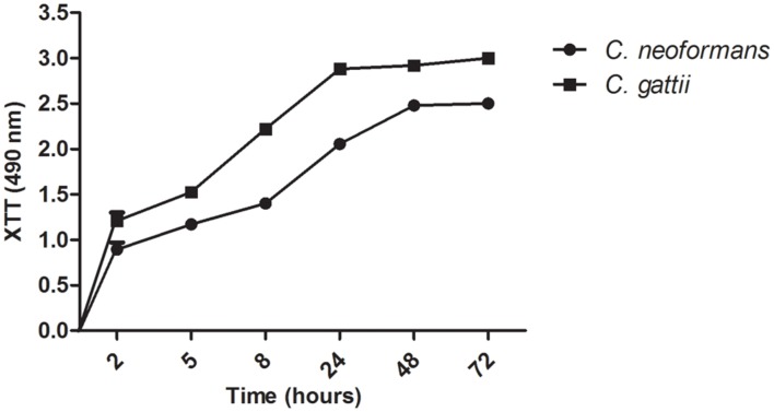 FIGURE 3