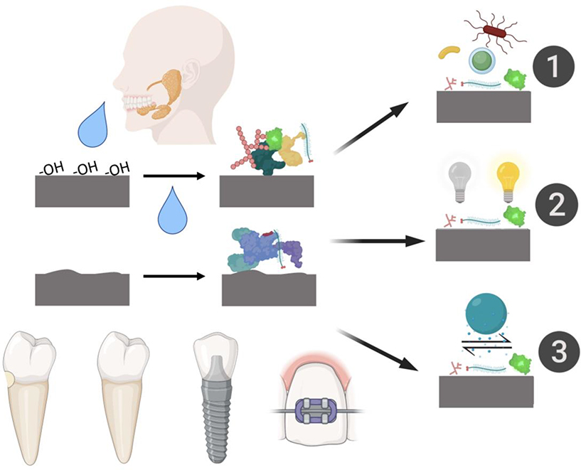 Figure 1: