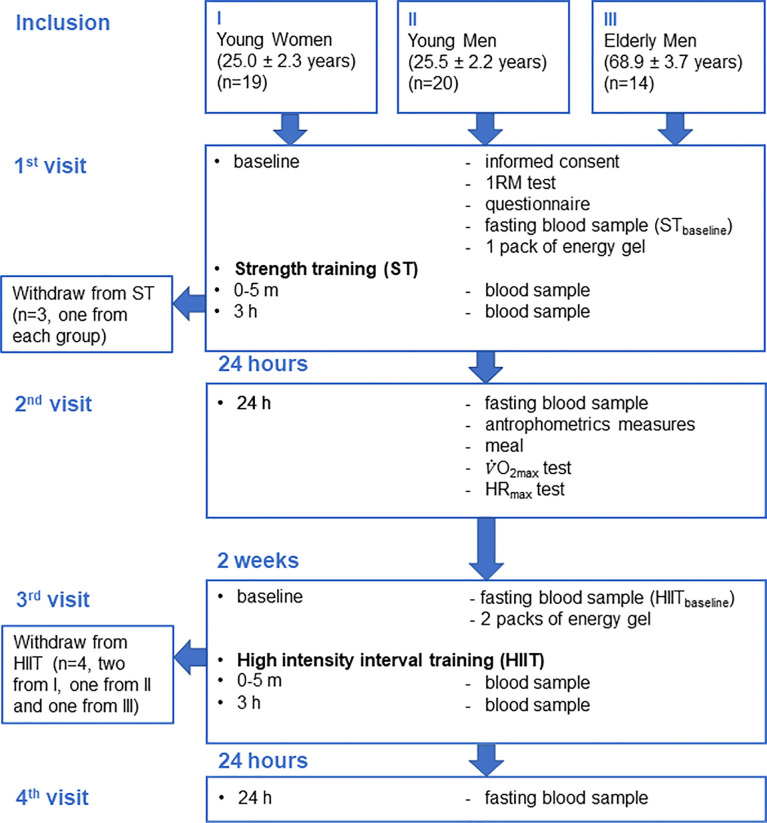 Figure 1