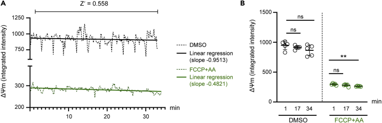 Figure 2