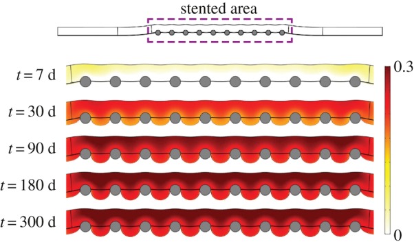 Figure 11.