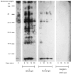 Fig. 10