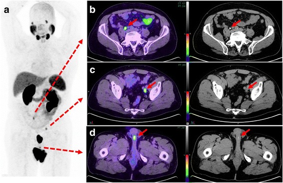 Fig. 3