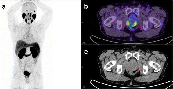 Fig. 6