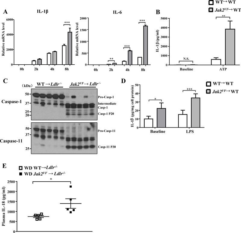 Figure 7: