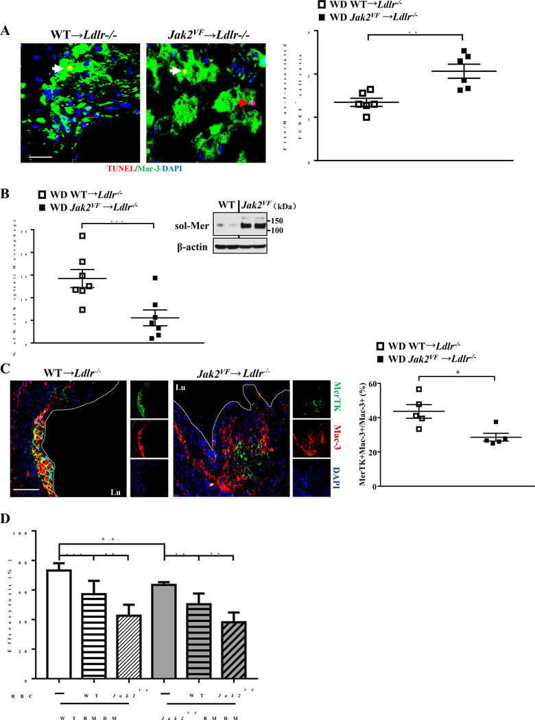 Figure 6: