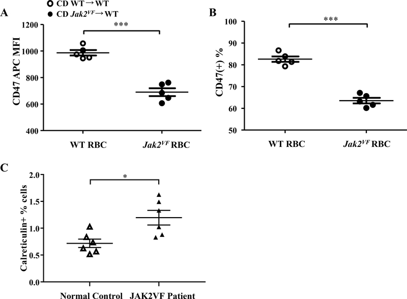 Figure 5: