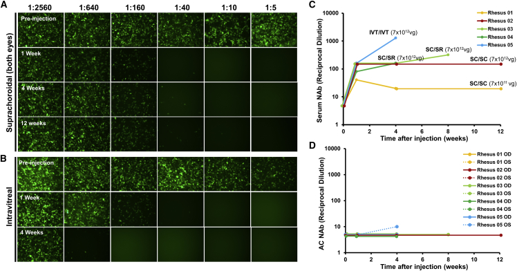 Figure 6