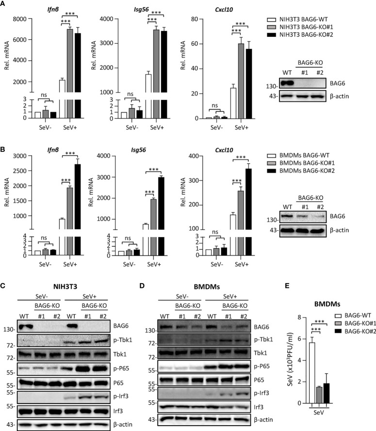 Figure 4