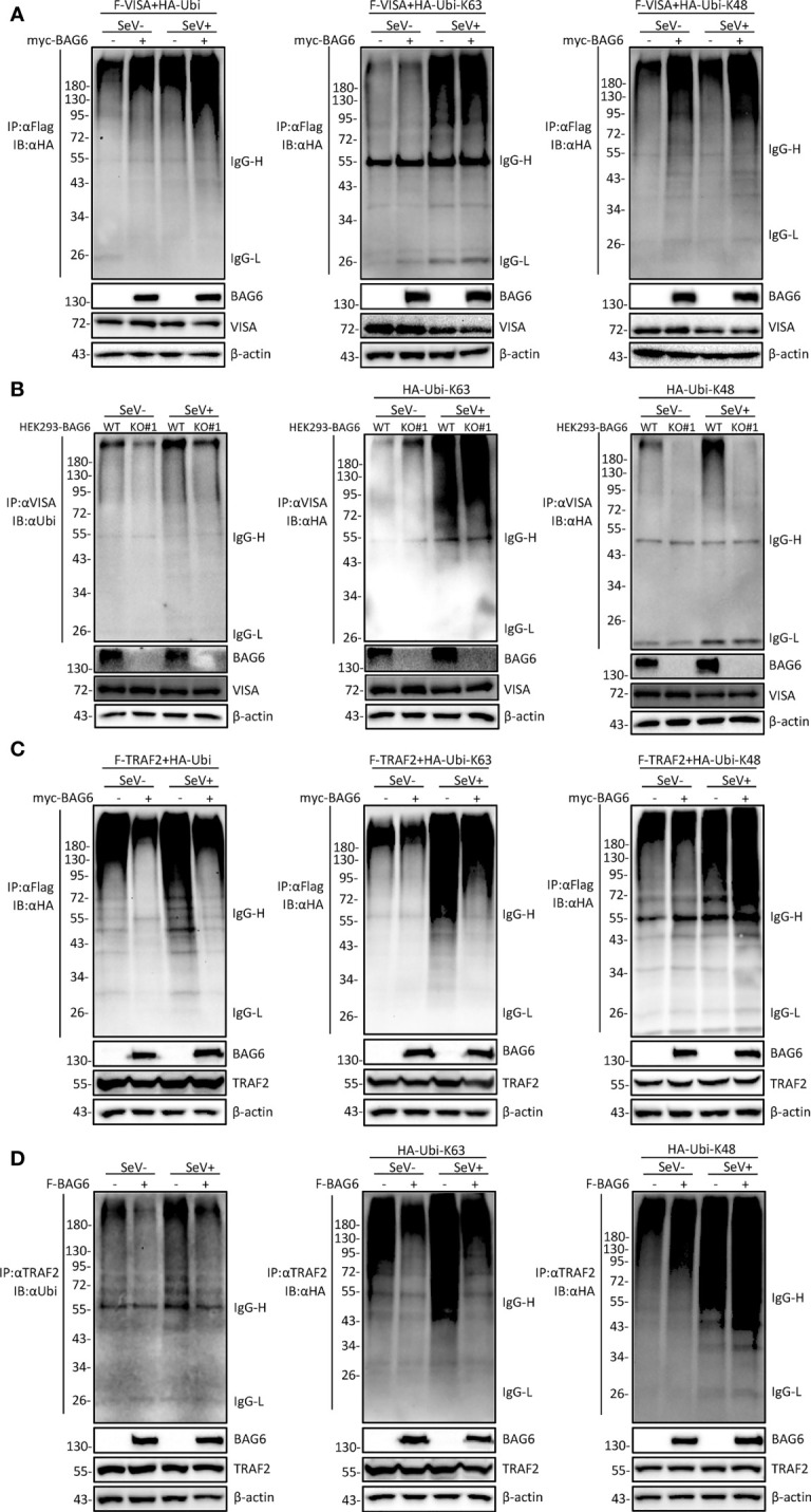 Figure 6