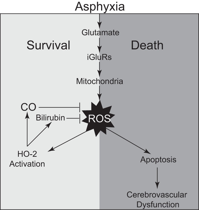 Fig. 9.