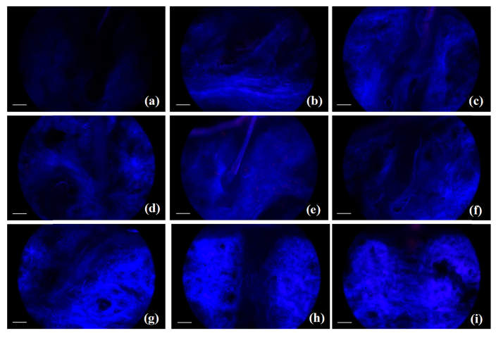 Fig. 8