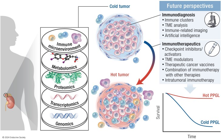 Graphical Abstract