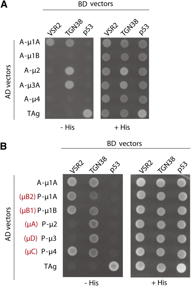 Figure 6.