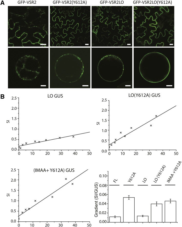 Figure 10.