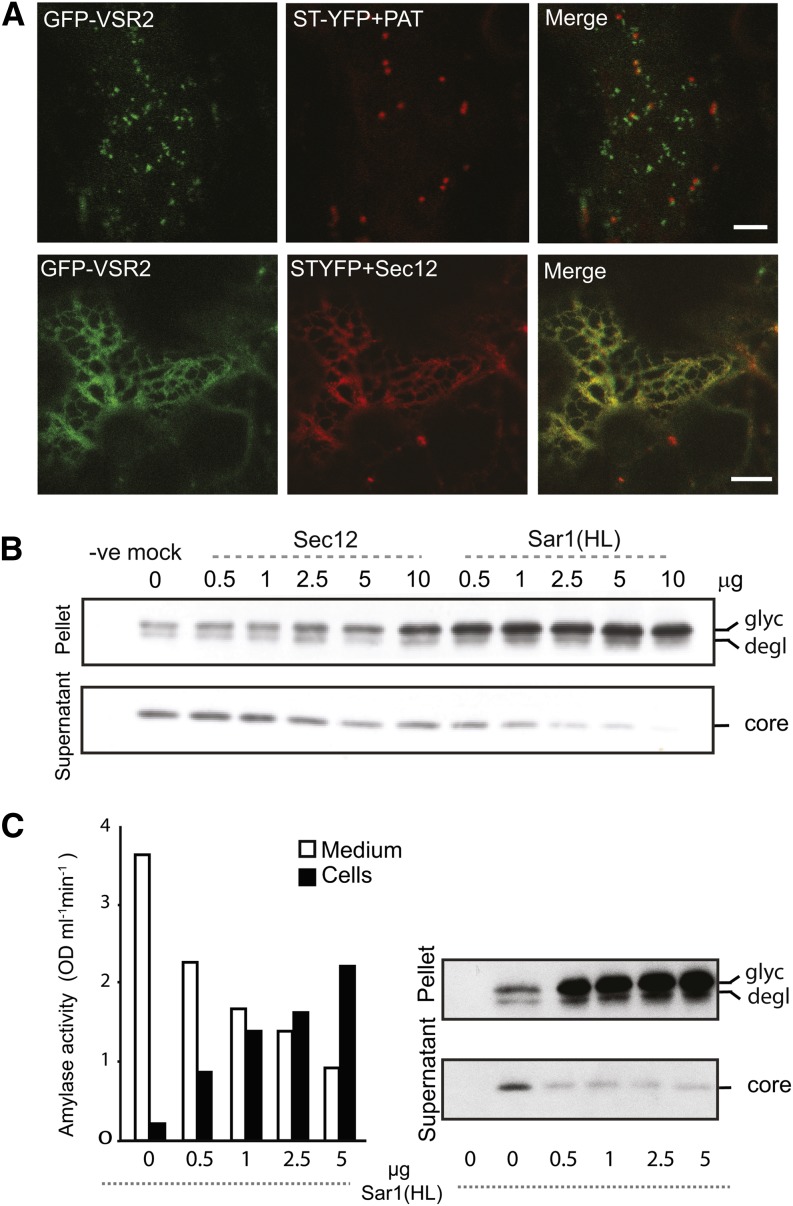 Figure 3.