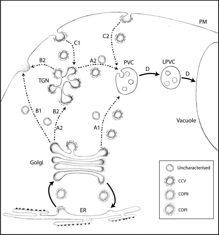 Figure 11.