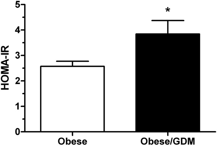 Figure 1