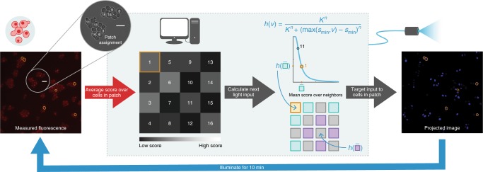 Fig. 4