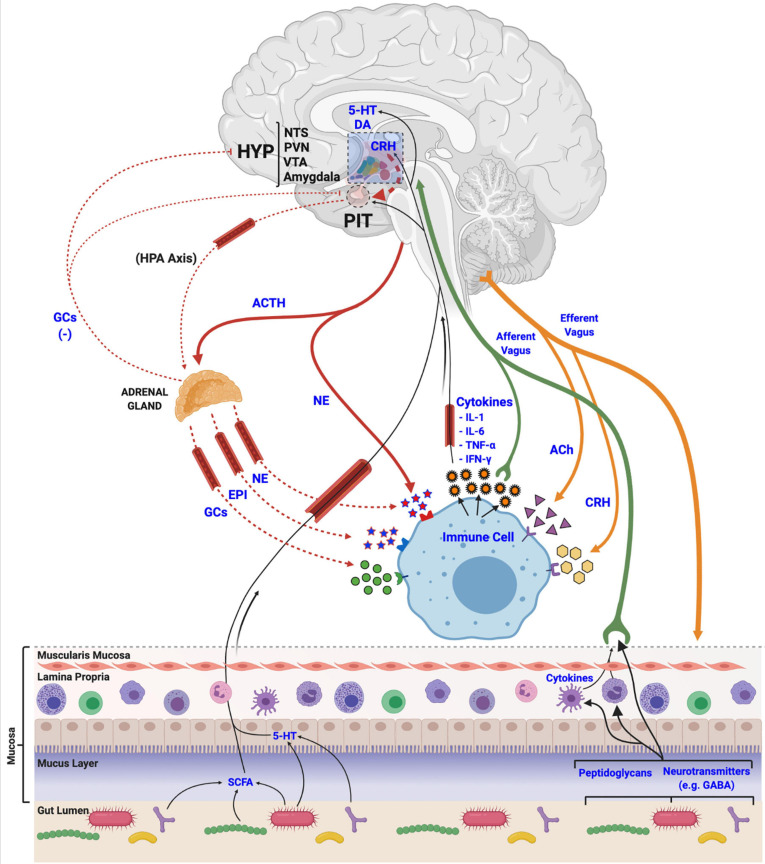 FIGURE 3