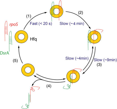 Figure 6.