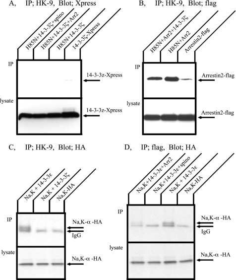 Figure 10.