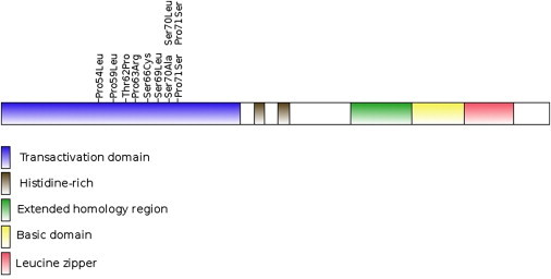 Figure 4