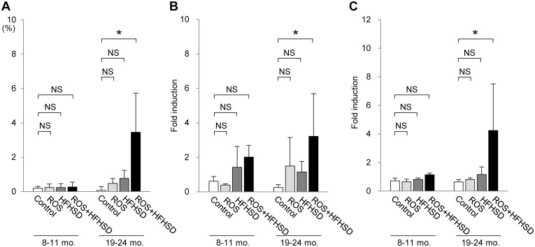 Fig 6