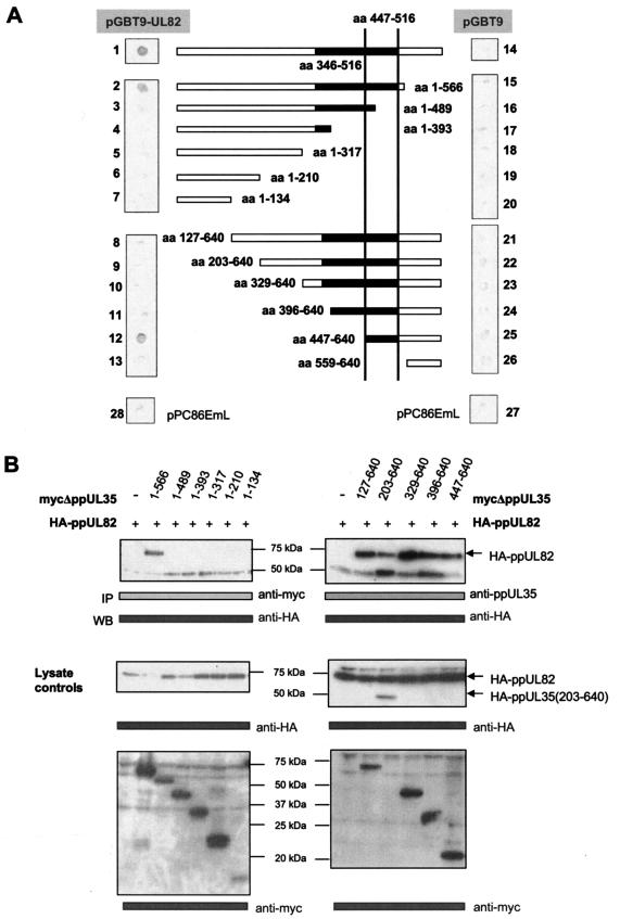 FIG.2.