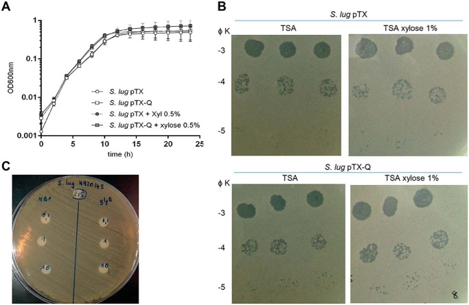 Figure 6.