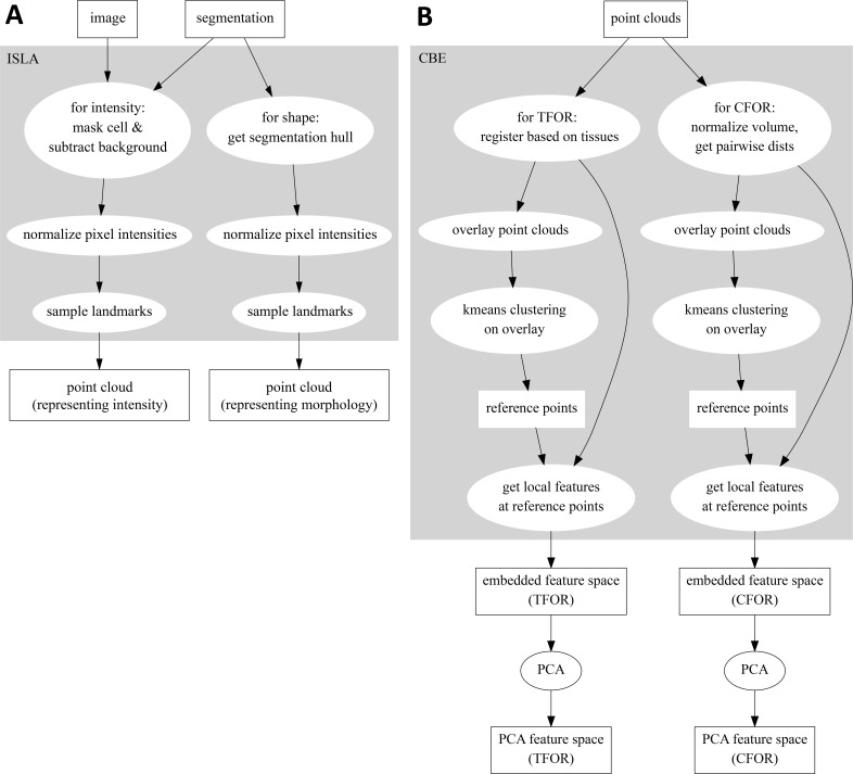 Figure 3—figure supplement 1.