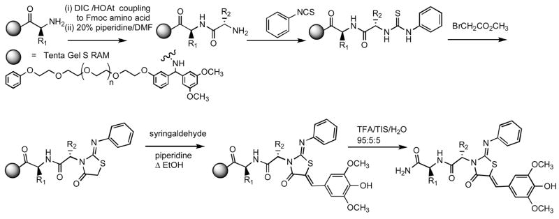 Scheme 3