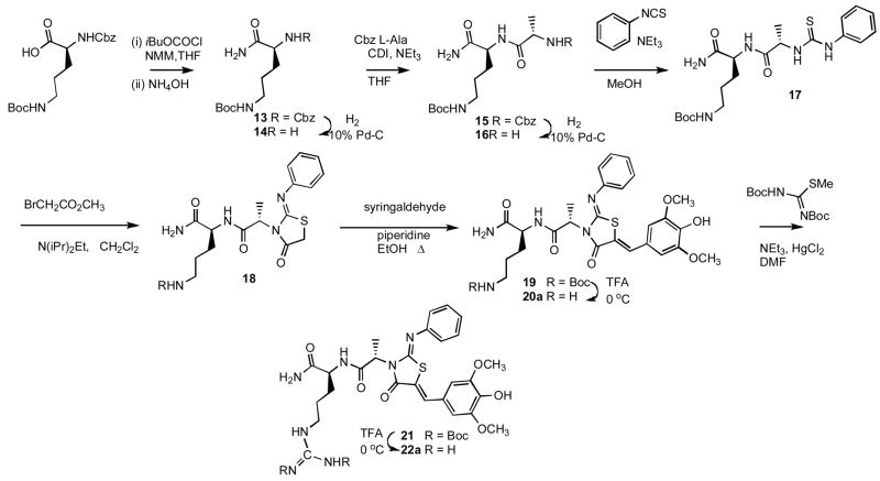 Scheme 2