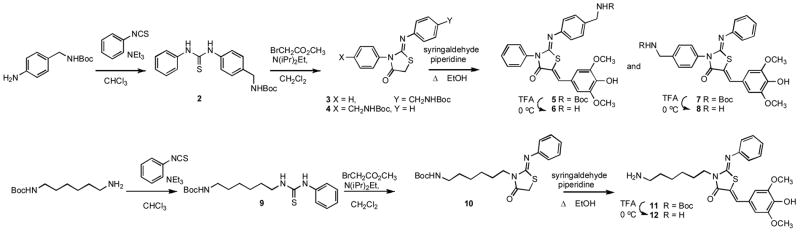 Scheme 1