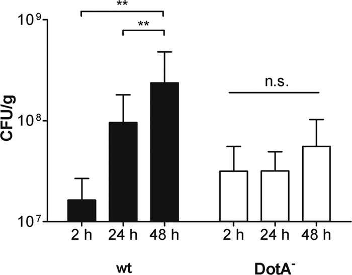 FIG 6