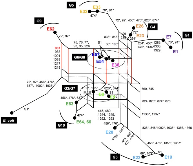 FIGURE 4