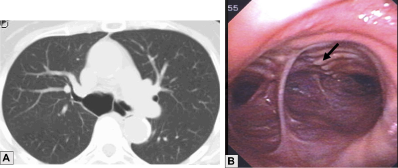 Figure 6