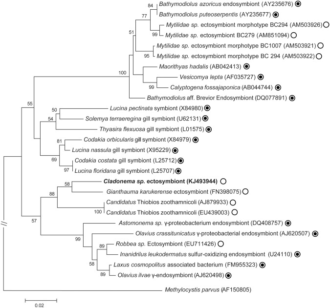 Fig 4