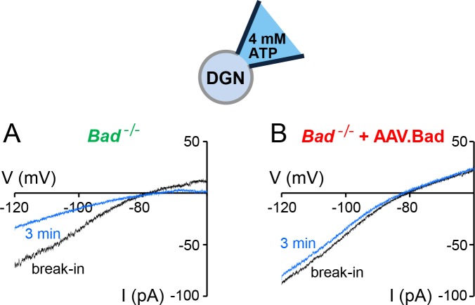 Figure 1—figure supplement 1.