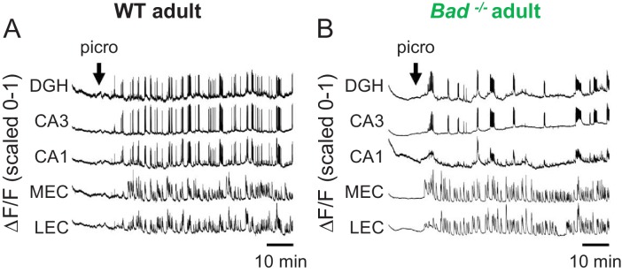 Figure 4—figure supplement 1.