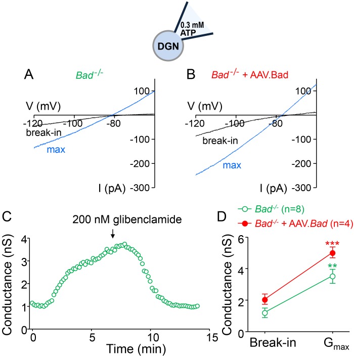 Figure 1—figure supplement 2.