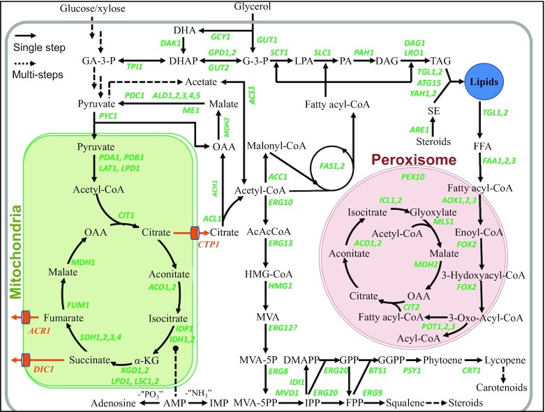 Figure 2.