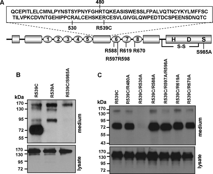 FIGURE 7.