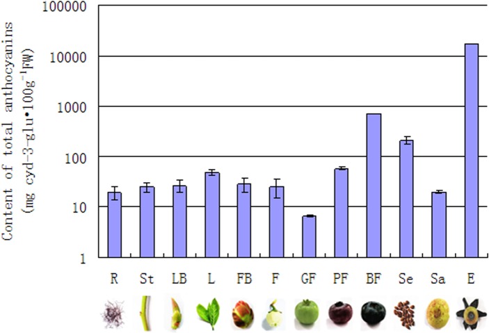 Fig 5